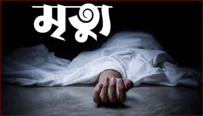 ব্রাহ্মণপাড়ায় পিকআপের চাপায় এক বৃদ্ধার মৃত্যু 