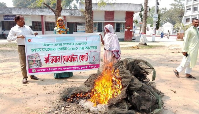 ফুলবাড়ীতে মোবাইল কোট অভিযান চালিয়ে অবৈধ্য জাল ধ্বংস