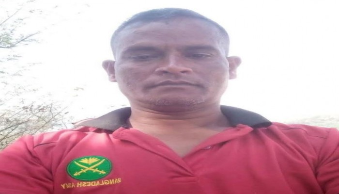 ভিমরুলের কামড়ে অবসরপ্রাপ্ত সেনা সদস্যের মৃত্যু