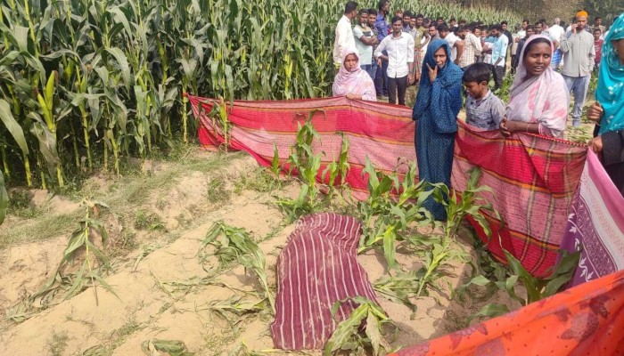 ঠাকুরগাঁওয়ে ভূট্রা ক্ষেত থেকে নারীর মরাদেহ উদ্ধার করেছে পুলিশ