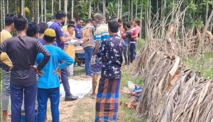 পিরোজপুরে রিক্সা চালককে হাতুড়ি দিয়ে পিটিয়ে নির্মমভাবে হত্যা