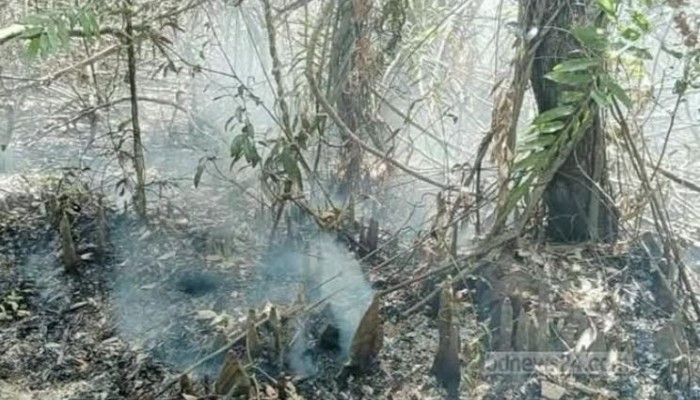 ​সুন্দরবনে আগুন