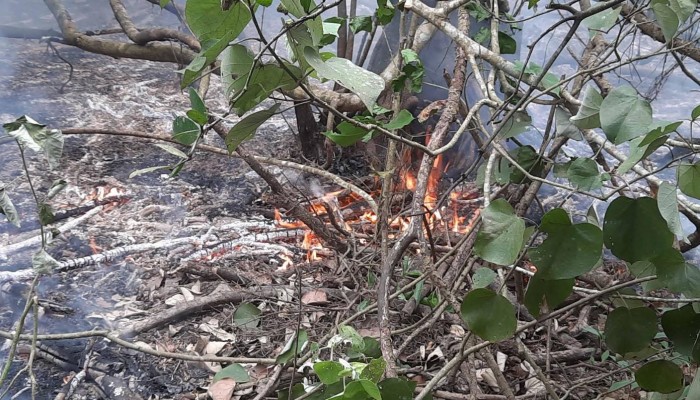 নদীতে ভাটা থাকায়, পানি ছেটাতে পারছেনা ফায়ার সার্ভিস