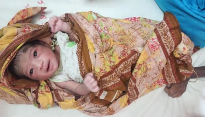 ঠাকুরগাঁওয়ে ভুট্টাক্ষেত থেকে জীবিত নবজাতক কন্যা সন্তান উদ্ধার