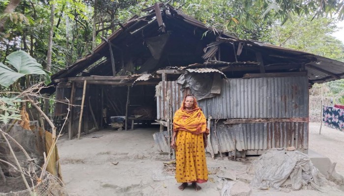 বিধবা রাজিয়া বেগমের মানবেতর জীবন—ভাঙা ঘরে অনিশ্চিত ভবিষ্যৎ