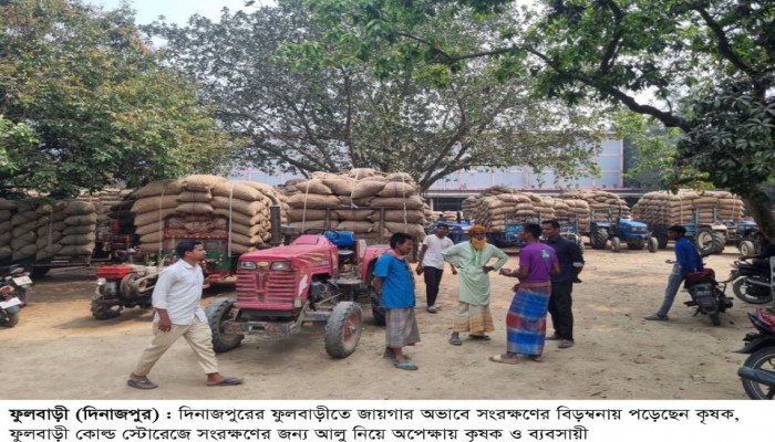 ফুলবাড়ীতে হিমাগারে আলু রাখতে কৃষকদের তোড়জোড়, কৃষকের চেয়ে ব্যবসায়ীদের অগ্রাধিকার বেশি