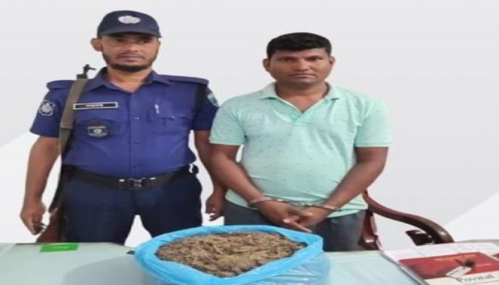 ​গোদাগাড়ীতে বিপুল পরিমান গাঁজা-সহ মাদক কারবারী গ্রেফতার