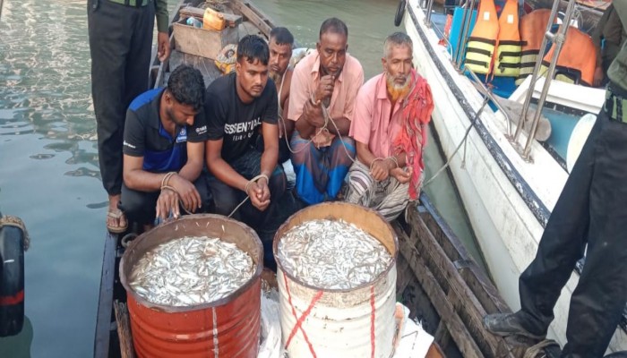 হিজলায় মেঘনার শাখা নদীর থেকে বিপুল পরিমানে জাটকা জব্দ ও আটক - ৫
