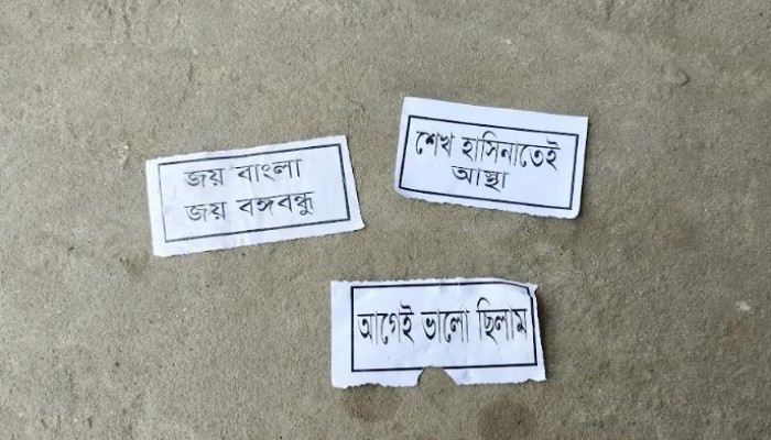 দেবীগঞ্জে আওয়ামী লীগের রাতের লিফলেট বিতরণ