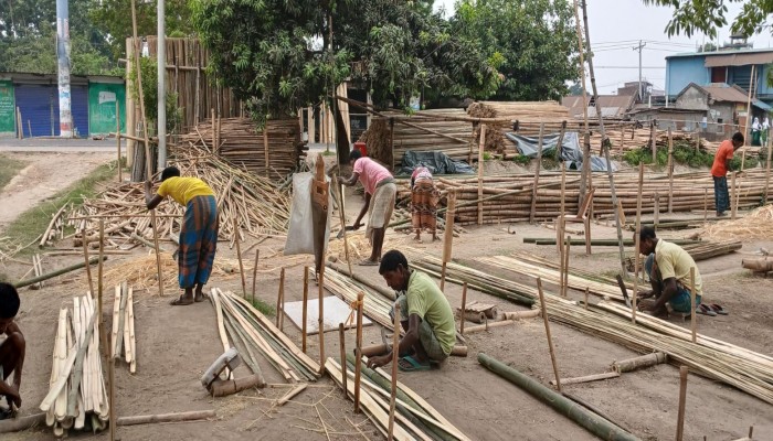 যুগ যুগ ধরে বাঁশের নানান ধরনের ব্যবহার হচ্ছে