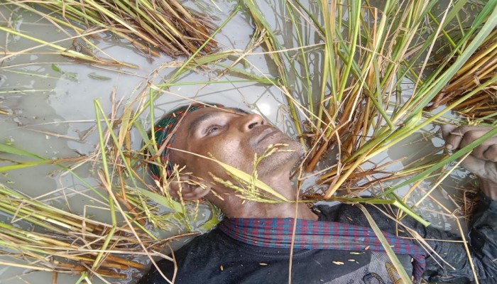 বদরগঞ্জে ধানক্ষেত থেকে মরদেহ উদ্ধার