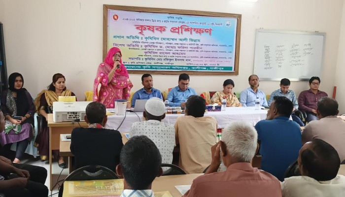 কালীগঞ্জে মসলার উন্নত জাত ও প্রযুক্তি সম্প্রসারণে কৃষক প্রশিক্ষণ