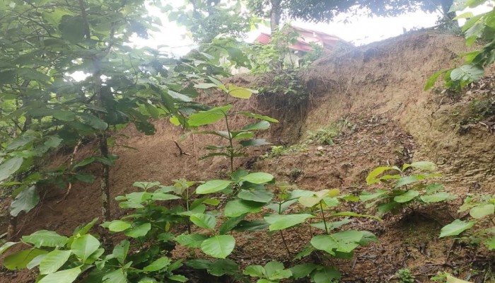 রাজস্থলী বাজার কেন্দ্রীয় বৌদ্ধ বিহারের মাটি ভারি বর্ষনে ধসে পড়ে