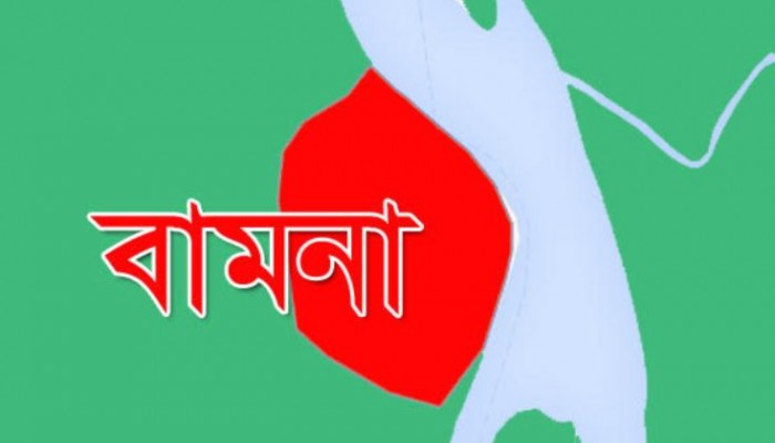 বামনায় রাতের অন্ধকারে লোহার পুল চুরি! কর্তৃপক্ষের নীরব ভূমিকা