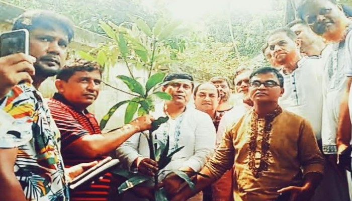 নান্দাইলে ২০ হাজার গাছের চারা বিতরণ করলেন বিএনপি নেতা শামসুল ইসলাম সূর্য