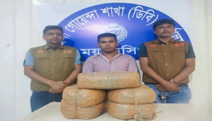 ময়মনসিংহ জেলা গোয়েন্দা শাখা, এর অভিযানে ১০ কেজি গাঁজাসহ গ্রেফতার-০১