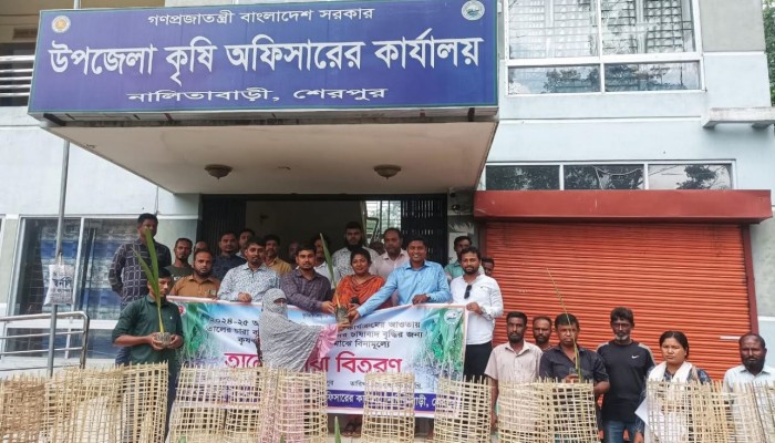 তালের চারা ও বেড়া বিতরন