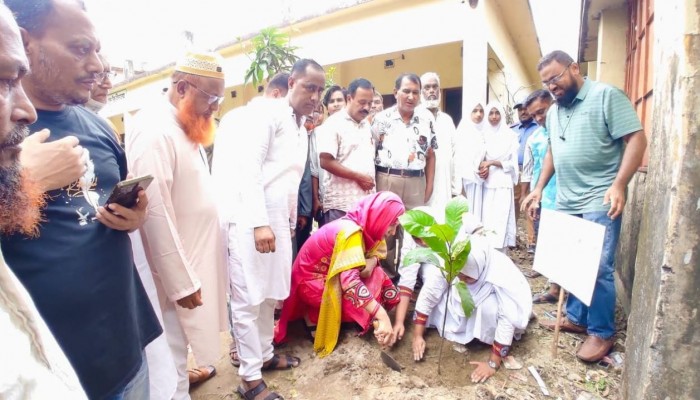 ব্রাহ্মণপাড়ায় বৃক্ষরোপণ ও বাল্যবিবাহ প্রতিরোধে আলোচনা সভা অনুষ্ঠিত