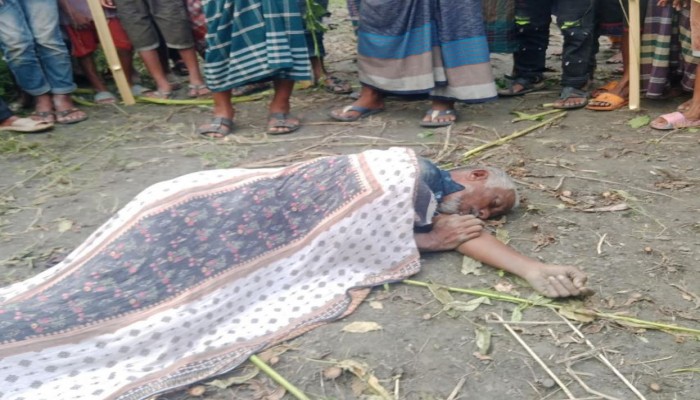খানসামায় পাটক্ষেতে ব্যবসায়ীর লাশ উদ্ধার