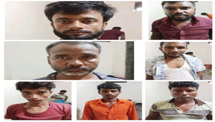 কালীগঞ্জে গরু চোর চক্রের ৭ সদস্য গ্রেপ্তার, চোরাই গরু উদ্ধার