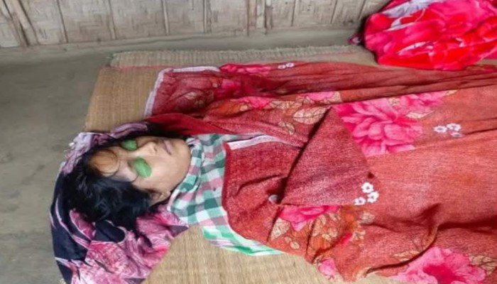 হরিপুরে সাপে কামড়ে গৃহবধুর মৃত্যু।