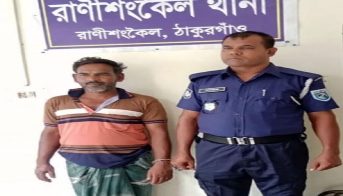 রাণীশংকৈলে ইয়াবসহ আটক-১।