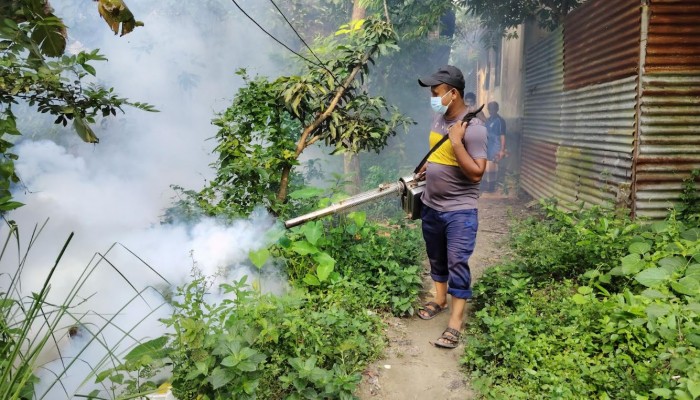 কালীগঞ্জ পৌর শহর যেন মশার স্বর্গরাজ্য  ডোবা-নালায় আবর্জনার স্তূপ, তাণ্ডবে অতিষ্ঠ জনজীবন
