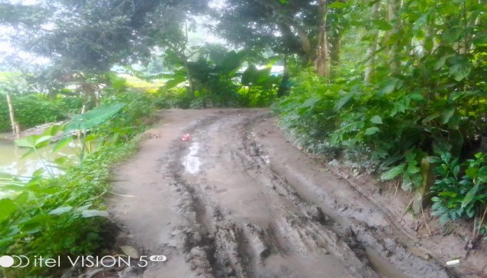 রায়গঞ্জের গ্রামীণ কাঁচা সড়কটি পাকা চান এলাকাবাসী।