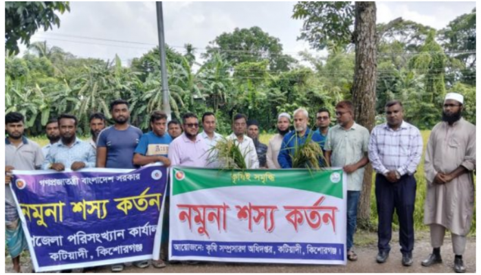 কটিয়াদীতে আউস ধানের নমুনা শস্য কর্তন উদ্বোধন