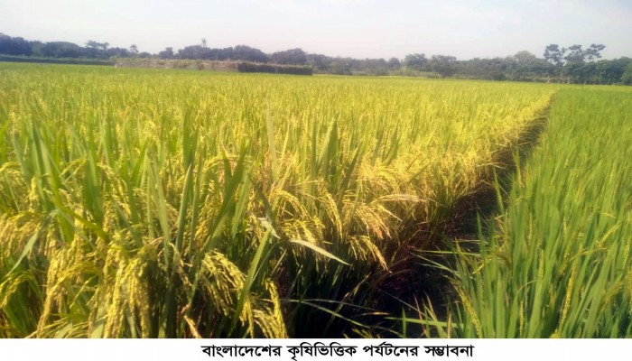 বাংলাদেশের কৃষিভিত্তিক পর্যটনের সম্ভাবনা