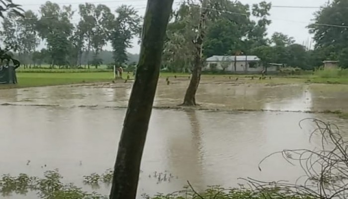 বিবাদীয় সম্পতি জবরদখল চেষ্টার অভিযোগ নিয়ে উত্তেজনা ও আদালতের নির্দেশনা উপেক্ষিত