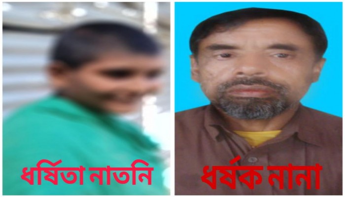 নালিতাবাড়ীতে নানার বিরুদ্ধে প্রতিবন্ধী নাতনি ধর্ষণের অভিযোগ, নাতনি চার মাসের অন্তঃসত্ত্বা - নানা পলাতক