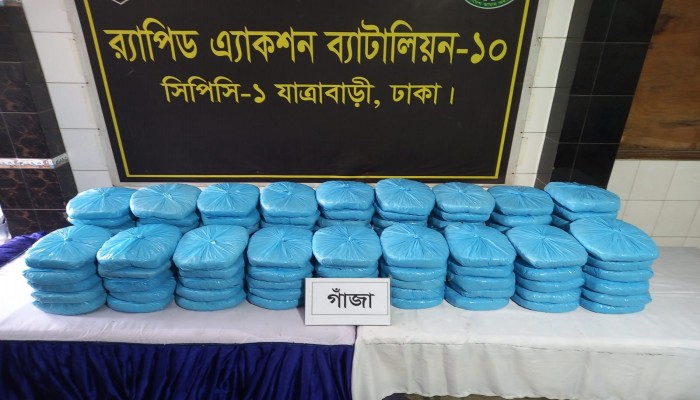 বিপুল পরিমান গাঁজাসহ ০১ জন মাদক ব্যবসায়ী কে গ্রেফতার করেছেন র‌্যাব।