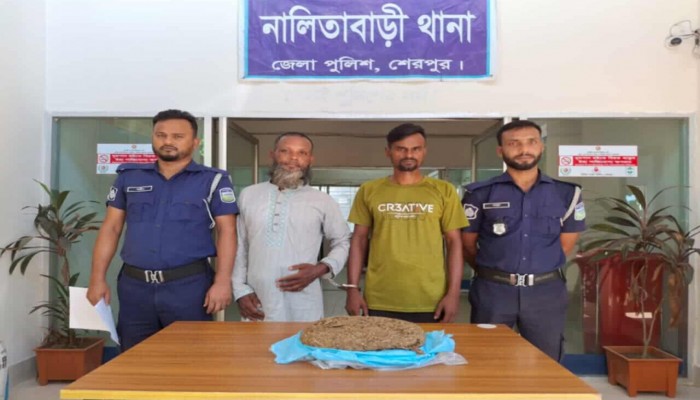 বিপুল পরিমান গাঁজাসহ ২ মাদক কারবারি আটক