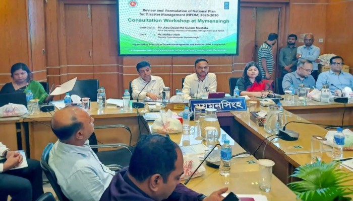 জাতীয় দুর্যোগ ব্যবস্থাপনায় পরিকল্পনা প্রণয়ন সংক্রান্ত কর্মশালা অনুষ্ঠিত
