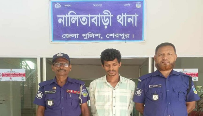 শেরপুরের নালিতাবাড়ীতে ইয়াবাসহ আটক ১