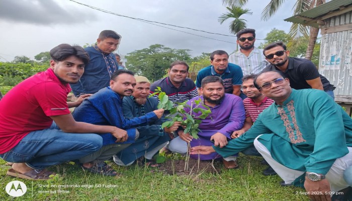 মঠবাড়িয়ায় বিএনপি নেতা গাজী ওয়াহিদুজ্জামান জাকিরের বৃক্ষরোপণ কর্মসূচি
