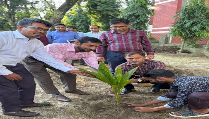 ঠাকুরগাঁও জেলা জজ আদালত প্রাঙ্গনে বিচারকদের বৃক্ষরোপণ