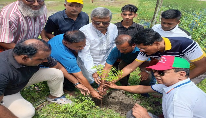 কাউখালীতে বিএনপির প্রতিষ্ঠাবার্ষিকী উপলক্ষে বৃক্ষরোপণ করা হয়