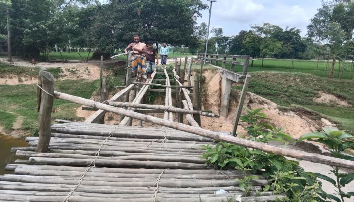 বদরগঞ্জে বিধ্বস্ত সেতু দিয়ে দশ গ্রামের মানুষ ঝুঁকি নিয়ে যাতায়াত, কতৃপক্ষের উদাসীন অভিযোগ।