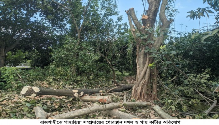 রাজশাহীতে আদিবাসী সম্প্রদায়ের গোরস্থান দখল ও গাছ কাটার অভিযোগ