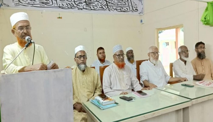 পিআর পদ্ধতির নির্বাচনে ফ্যাসিবাদী হয়ে ওঠার সম্ভাবনা নেই--মাওলানা আবদুল হালিম