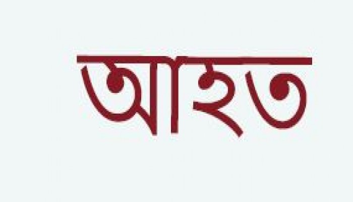 ব্রাহ্মণপাড়ায় মাদকসেবীর হামলায় ইউপি সদস্যসহ আহত-৪