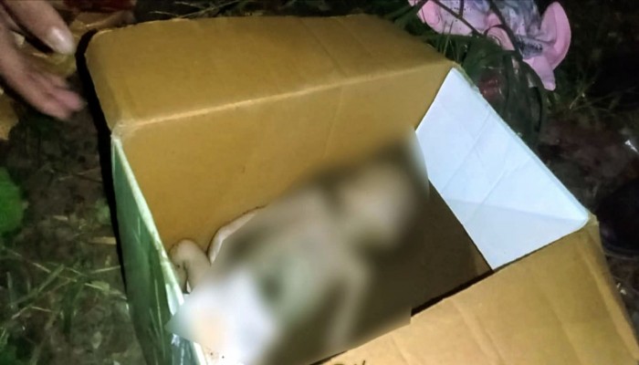 কাগজের কার্টনে নিথর নবজাতক সমাজের মানবিকতার আয়নায় ভয়াল প্রতিচ্ছবি