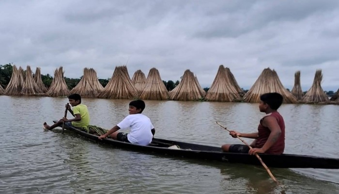 ‎হোসেনপুরে পাটকাঠিতে কৃষকের খুশি