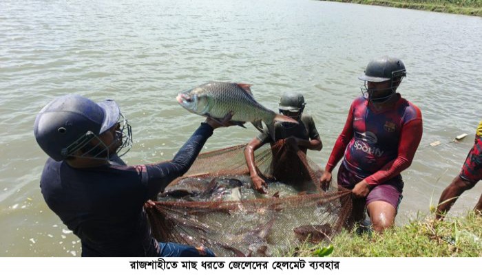 মাছ ধরতে হেলমেট ছাড়া পুকুরে নামেন  না জেলেরা