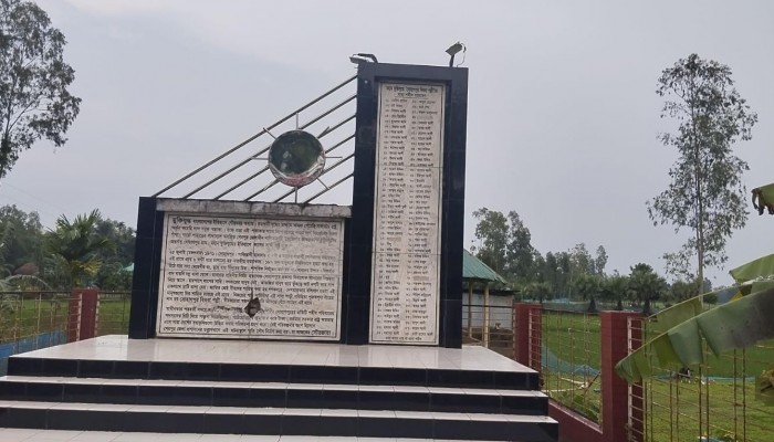 অসহায়  বিধবাপল্লীর বিধবারা, কষ্টে দিন পার করছে দেখার কেউ নেই