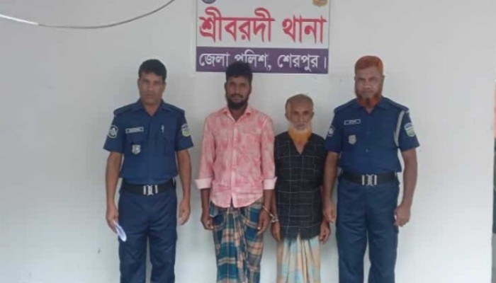 শেরপুরে প্রতিবন্ধী শিশুকে ধর্ষণ চেষ্টার অভিযোগে গ্রেপ্তার ২
