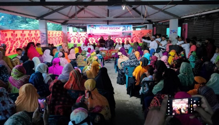 মির্জাগঞ্জে মহিলা সমাবেশে আলতাফ হোসেন চৌধুরী