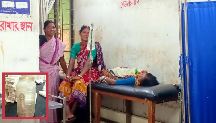 কোবরা সাপের ছোবল খেয়ে সাপসহ হাসপাতালে বৃদ্ধা!
